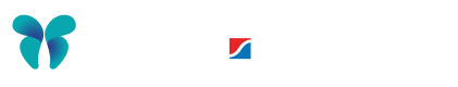 BDS Footer Logo